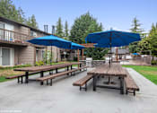 Thumbnail 31 of 41 - Picnic Tables with Umbrellas at North Creek Apartments, Washington