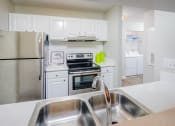Thumbnail 5 of 23 - Stainless Steel Sink With Faucet In Kitchen at The Pointe at Irving Park, North Carolina, 27408