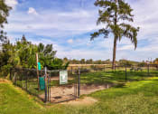 Thumbnail 23 of 24 - Dog Park at River Crossing Apartments, Thunderbolt, GA, 31404