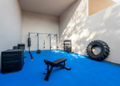 Thumbnail 8 of 17 - Gym Equipment at Whisper Lake Apartments, Winter Park