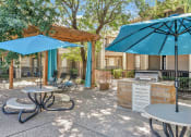 Thumbnail 7 of 27 - BBQ and Picnic Area at The Willows on Rosemeade, Dallas, TX 75287