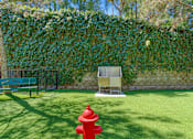 Thumbnail 49 of 65 - A red fire hydrant is in the middle of a green lawn.