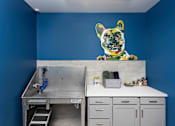 Thumbnail 17 of 37 - paw spa with sink, countertop, and dog painting
