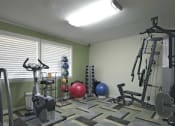 Thumbnail 4 of 6 - Gym  at Oak Chase II, Florida, 33612