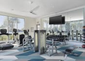 Thumbnail 6 of 17 - a gym with a view of the beach and palm trees at Lakeside Villas, Orlando Florida