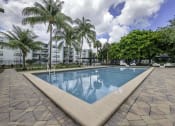 Thumbnail 27 of 54 - a large swimming pool with palm trees in the background  at Club at Emerald Waters, Florida, 33021