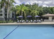 Thumbnail 29 of 54 - a pool with lounge chairs and umbrellas in front of a building  at Club at Emerald Waters, Hollywood, 33021