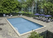 Thumbnail 8 of 54 - a swimming pool with lounge chairs and umbrellas in front of an apartment building  at Club at Emerald Waters, Hollywood, FL