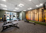 Thumbnail 10 of 34 - A spacious fitness room with cross training weight and cardio equipment and a large window.
