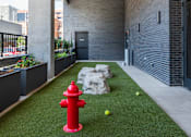 Thumbnail 38 of 46 - A red fire hydrant is in the middle of a green lawn.