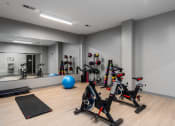 Thumbnail 18 of 28 - a gym filled with exercise equipment and a blue ball at Hibernia Apartments, St Louis, 63139