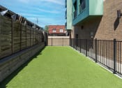 Thumbnail 19 of 28 - Hibernia fenced pet park with green turf at Hibernia Apartments, St Louis, Missouri