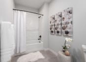 Thumbnail 46 of 71 - a bathroom with a tub and a shower and a painting on the wall at The Flats & Terraces at Wildhorse Village, Chesterfield, 63005
