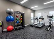Thumbnail 3 of 18 - A gym with treadmills, exercise balls, and weights.