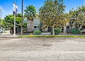 Thumbnail 5 of 7 - A cracked street with a yellow fire hydrant and trees.