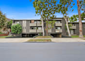 Thumbnail 10 of 12 - Apartment building with a tree in front.