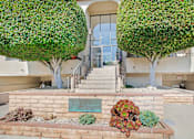 Thumbnail 2 of 5 - A green tree is in front of a building.