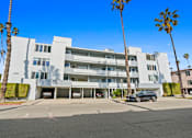 Thumbnail 10 of 12 - A modern white building with palm trees in front.