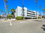 Thumbnail 11 of 12 - A white building with palm trees in front of it.