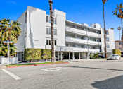 Thumbnail 12 of 12 - A white building with a palm tree in front of it.