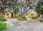 Thumbnail 13 of 16 - A courtyard with a tree in the center and a house in the background.