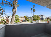 Thumbnail 11 of 19 - A balcony overlooks a residential street with houses and palm trees.