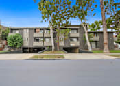 Thumbnail 17 of 19 - Apartment building with a tree in front.
