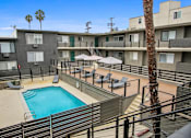 Thumbnail 28 of 29 - A pool surrounded by apartment buildings and palm trees.