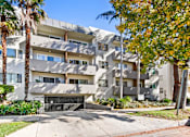 Thumbnail 10 of 14 - A modern apartment building with a palm tree in front.