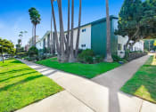 Thumbnail 23 of 23 - a building with a sidewalk and palm trees in front of it