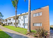 Thumbnail 11 of 39 - a building with a sidewalk and palm trees in front of it