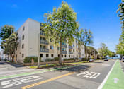 Thumbnail 5 of 8 - A street view with a building, trees, and a bike lane.