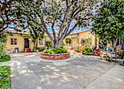 Thumbnail 4 of 6 - A courtyard with a tree in the center and a house in the background.