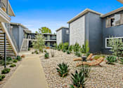 Thumbnail 2 of 3 - A modern courtyard with a concrete pathway and a variety of plants.