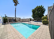 Thumbnail 3 of 17 - A small pool surrounded by a fence and a palm tree.
