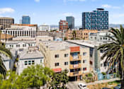 Thumbnail 1 of 6 - A cityscape with buildings and palm trees.