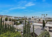 Thumbnail 1 of 15 - A cityscape with buildings and palm trees under a clear blue sky.