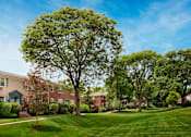 Thumbnail 19 of 22 - A tree in a grassy area in front of a building at Rivercrest Apartments, Piscataway , New Jersey
