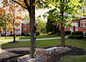 Thumbnail 2 of 11 - A tree with a bench underneath it in the foreground with a building in the background at Kings Gate West Apartments, Camillus, New York