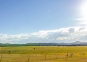 Thumbnail 2 of 20 - a view of a field with mountains in the background  at Antelope Ridge, Box Elder, SD, 57719