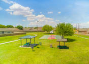 Thumbnail 9 of 31 - basketball court and picnic area at the Village at Cottonwood Springs, El Paso TX