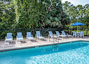 Thumbnail 15 of 48 - A pool surrounded by trees and chairs.