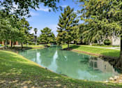 Thumbnail 33 of 34 - A serene park with a pond and trees.