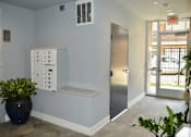 Thumbnail 41 of 45 - A room with a grey door, a white panel with holes, and a plant in a blue pot.