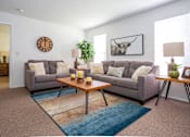 Thumbnail 5 of 24 - A living room with a grey couch, a wooden coffee table, and a blue rug.