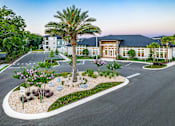 Thumbnail 1 of 46 - A palm tree stands in a landscaped garden in front of a building.