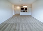 Thumbnail 9 of 21 - A large, empty room with a carpeted floor and a ceiling fan.