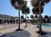 Thumbnail 17 of 44 - A pool surrounded by palm trees and sun loungers.