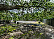Thumbnail 21 of 24 - A park bench is situated under a tree.
