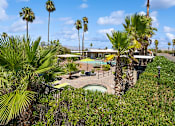 Thumbnail 10 of 23 - View of pool and landscaping at Verde Plaza Manufactured Home Community in Tucson, Arizona